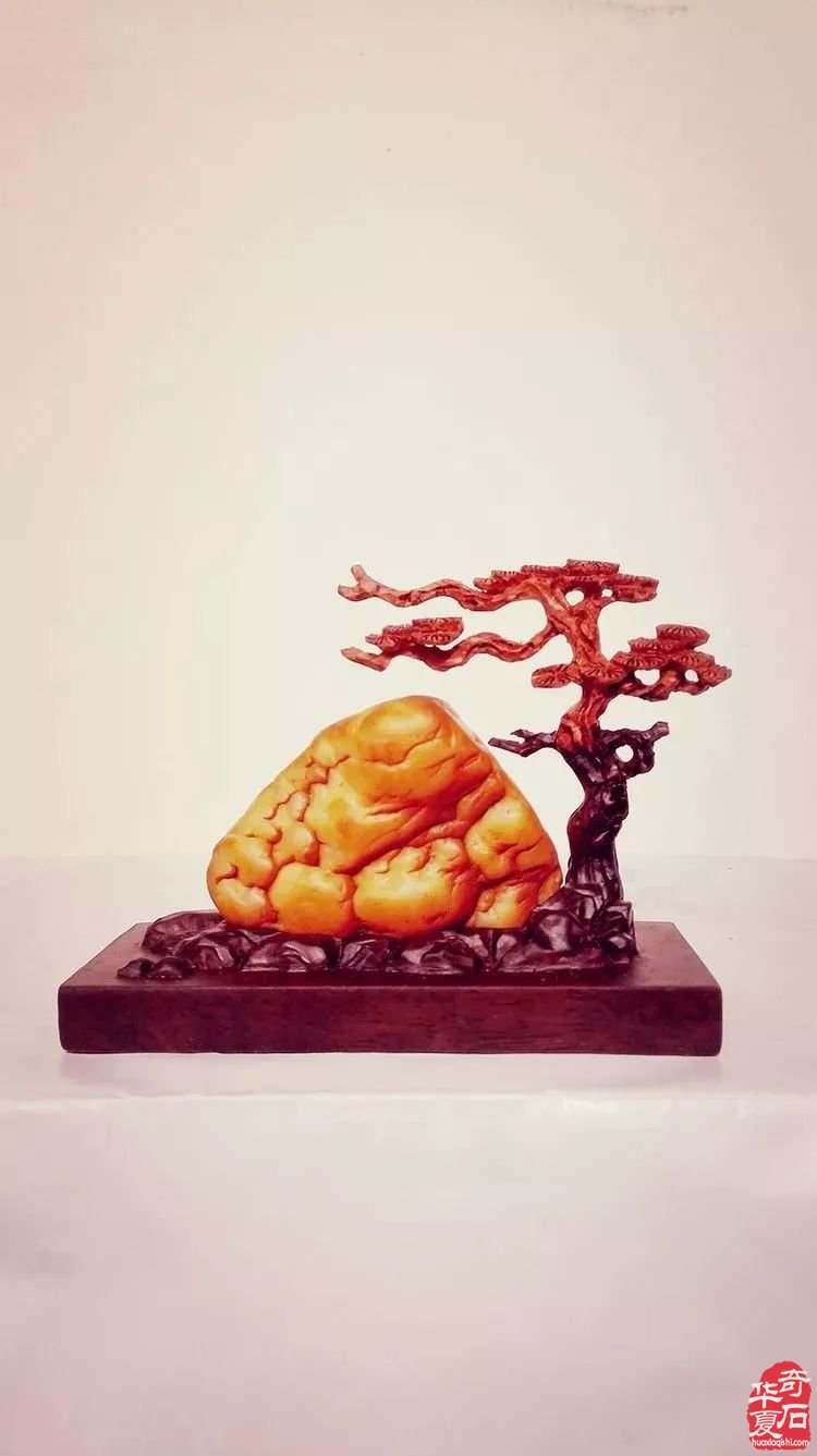 建议玩石者：永远不要和这四种人争辩