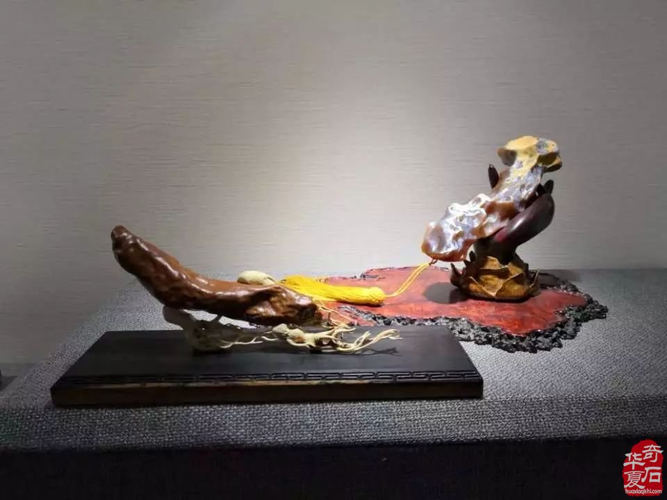 建议玩石者：永远不要和这四种人争辩