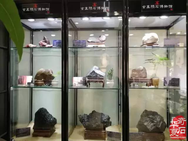陕西省收藏家协会玄真陨石博物馆陨石文化交流考察