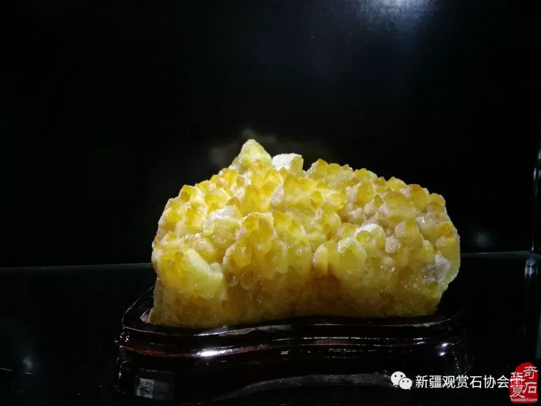 高大上 不一样的宝玉石文化节亮点纷呈光彩夺目