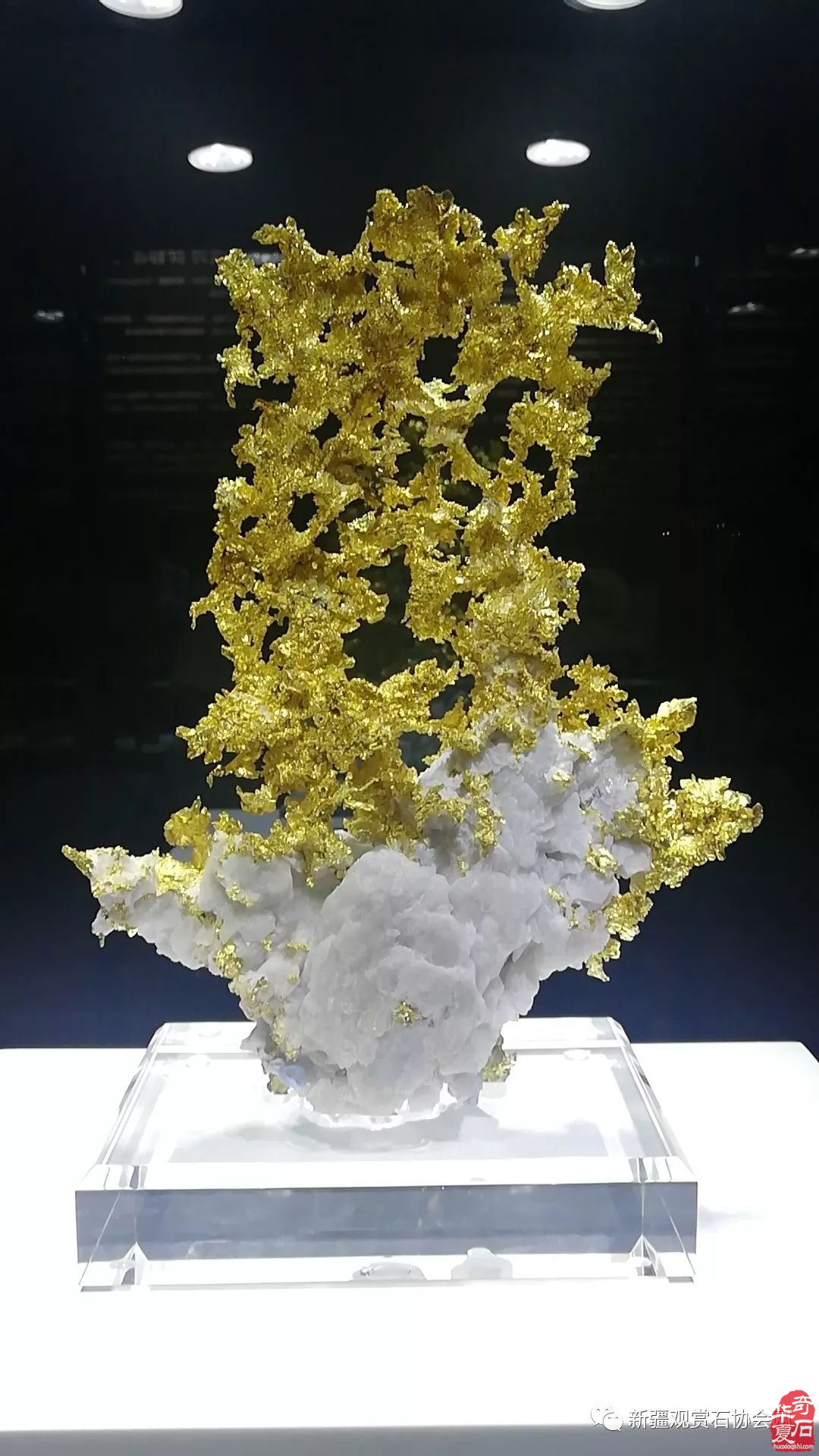 高大上 不一样的宝玉石文化节亮点纷呈光彩夺目