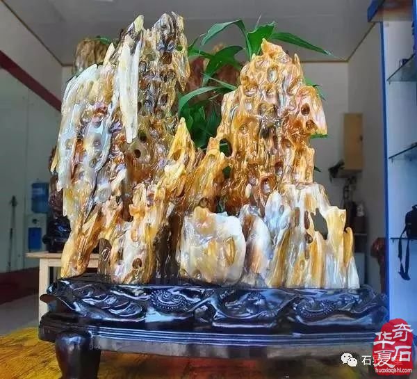 世界上最美木头变成石头后的样子！