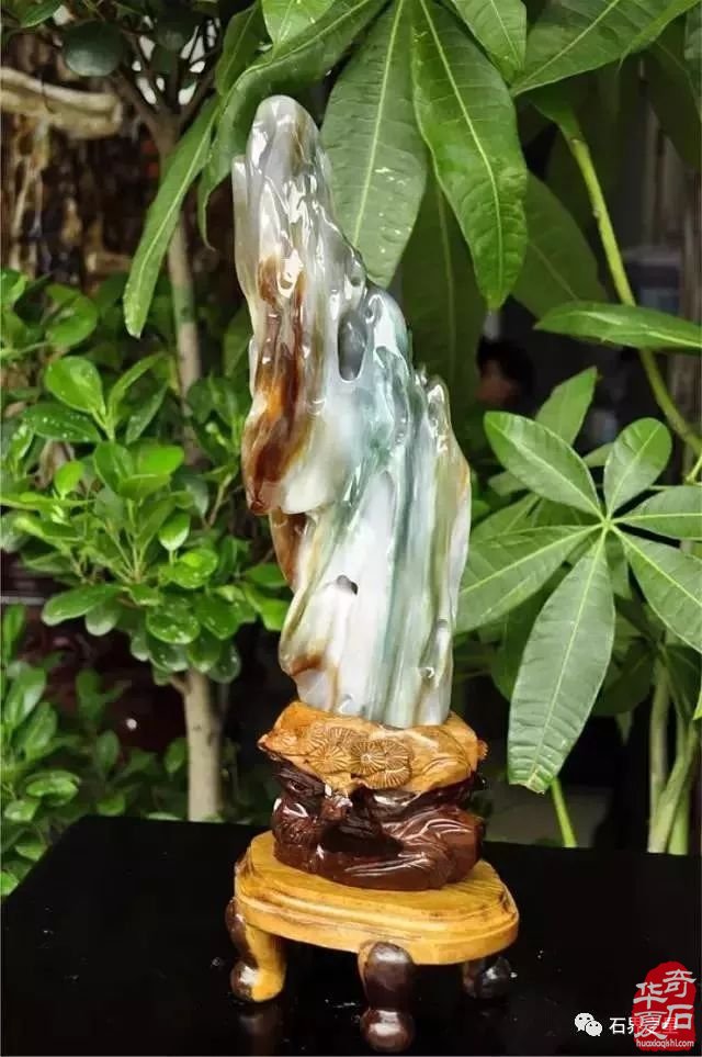 世界上最美木头变成石头后的样子！