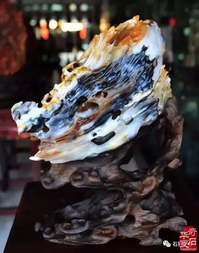 世界上最美木头变成石头后的样子！