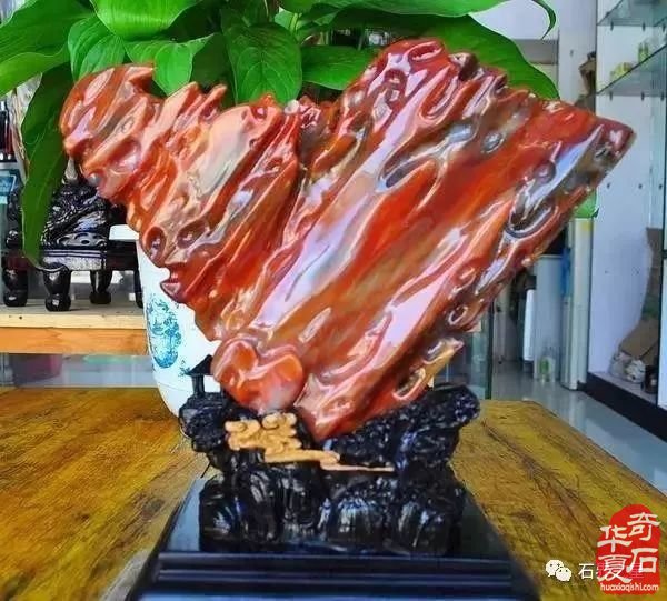世界上最美木头变成石头后的样子！