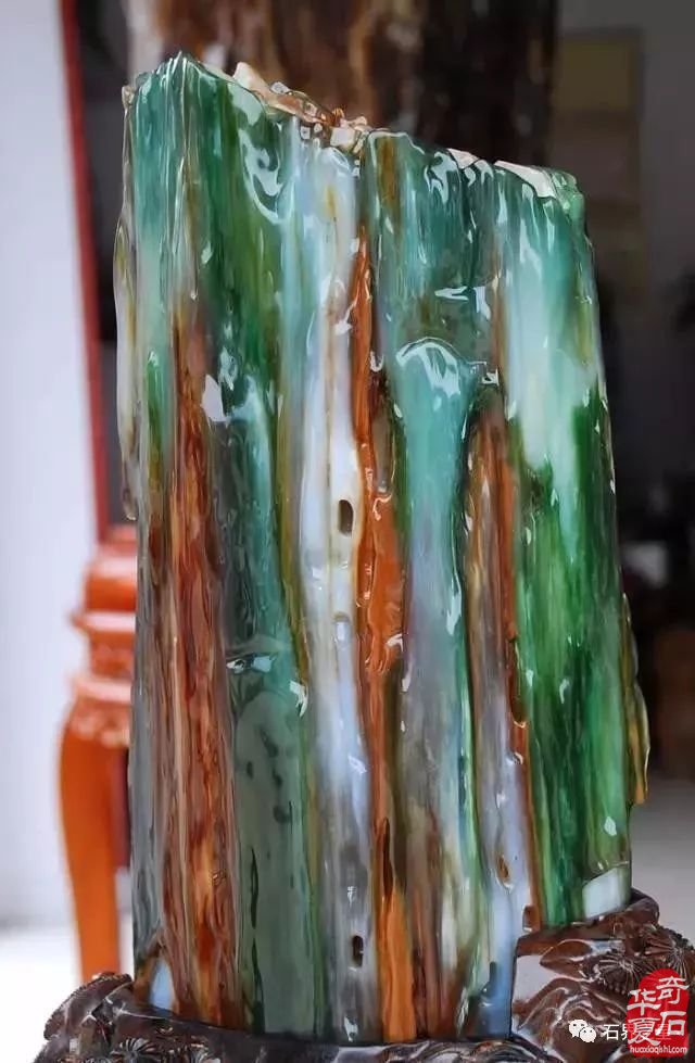 世界上最美木头变成石头后的样子！