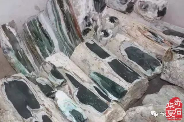 世界上最美木头变成石头后的样子！