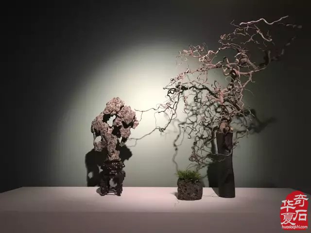 石为中国 ,艺为世界——我心中的石非石