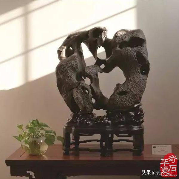 点击进入看图评论 你知道什么样的奇石更受欢迎吗?奇石市场的这些变化你来了解一下