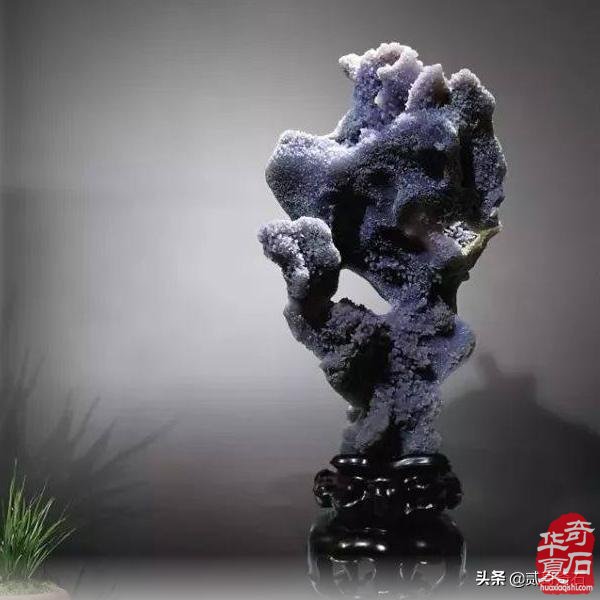 点击进入看图评论 你知道什么样的奇石更受欢迎吗?奇石市场的这些变化你来了解一下