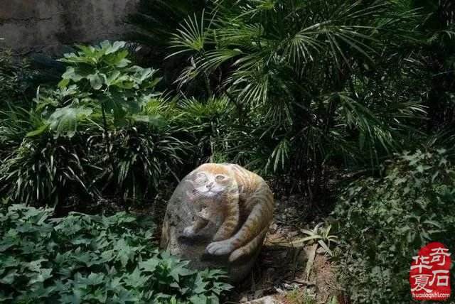 你确定这是石头吗？不，这是艺术！不，这是石头！！