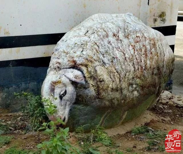 你确定这是石头吗？不，这是艺术！不，这是石头！！