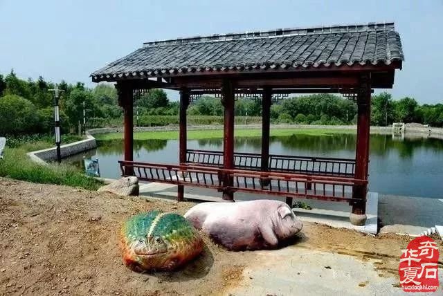你确定这是石头吗？不，这是艺术！不，这是石头！！