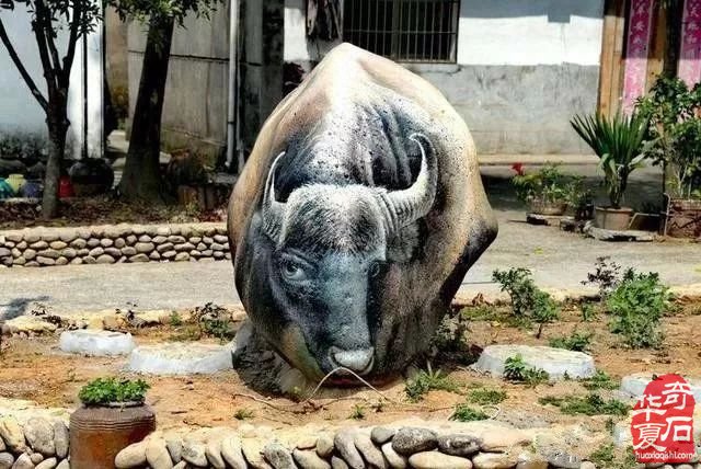 你确定这是石头吗？不，这是艺术！不，这是石头！！