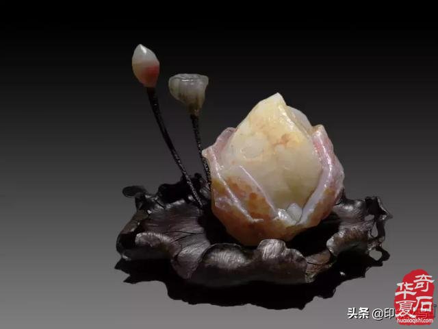 有人说赏石路上:识“石物”者为俊杰