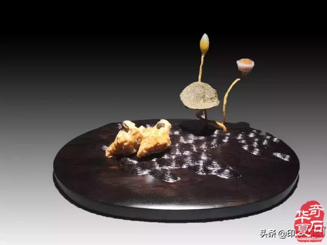 有人说赏石路上：识“石物”者为俊杰 