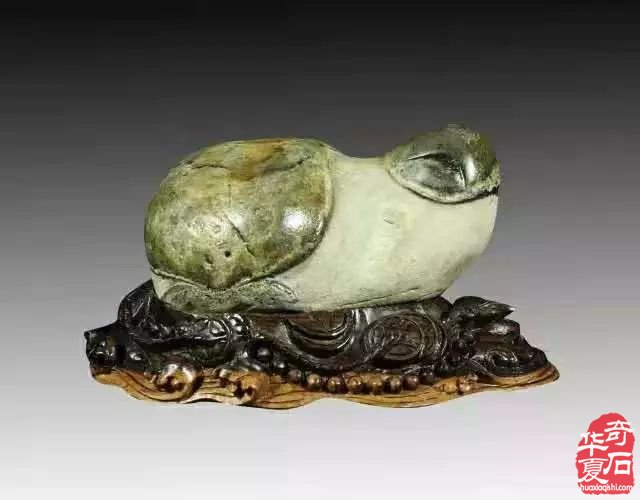 一个资深玩石人总结的藏石玩石经验 图