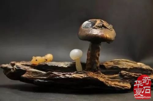 一个资深玩石人总结的藏石玩石经验 图