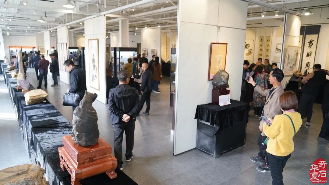2020中国·开封首届“大宋杯”观赏石精品展暨奇石交易会隆重开幕、精彩纷呈！