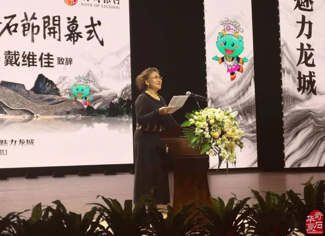 第十一届柳州国际奇石节盛大开幕！ 图