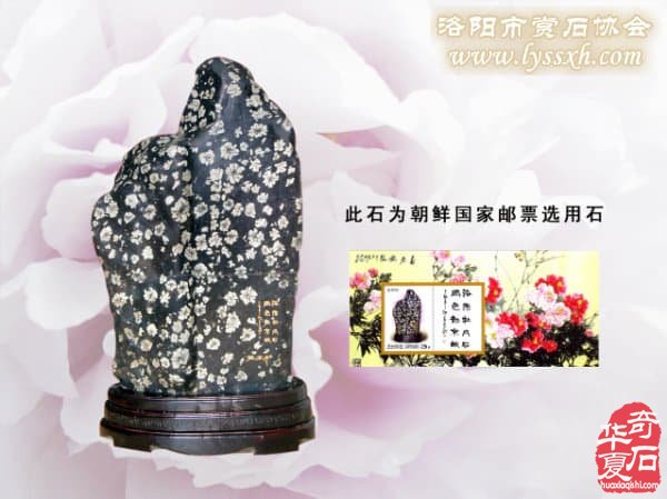 洛阳河洛石文化博物馆名扬四海