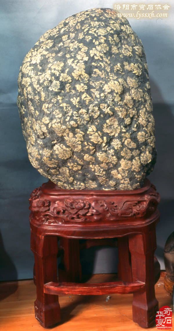 洛阳河洛石文化博物馆名扬四海