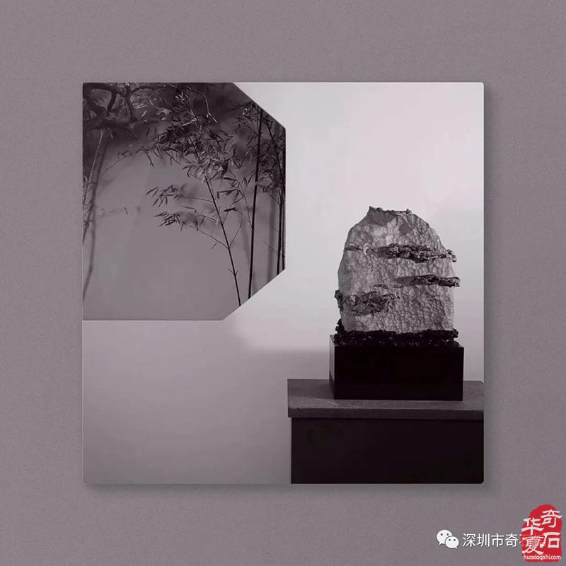期待赏石成为艺术的引领而非市场的迎合 图