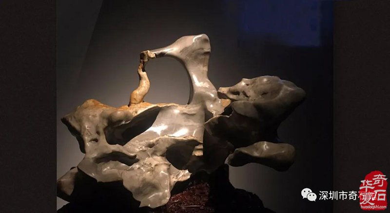 期待赏石成为艺术的引领而非市场的迎合 图