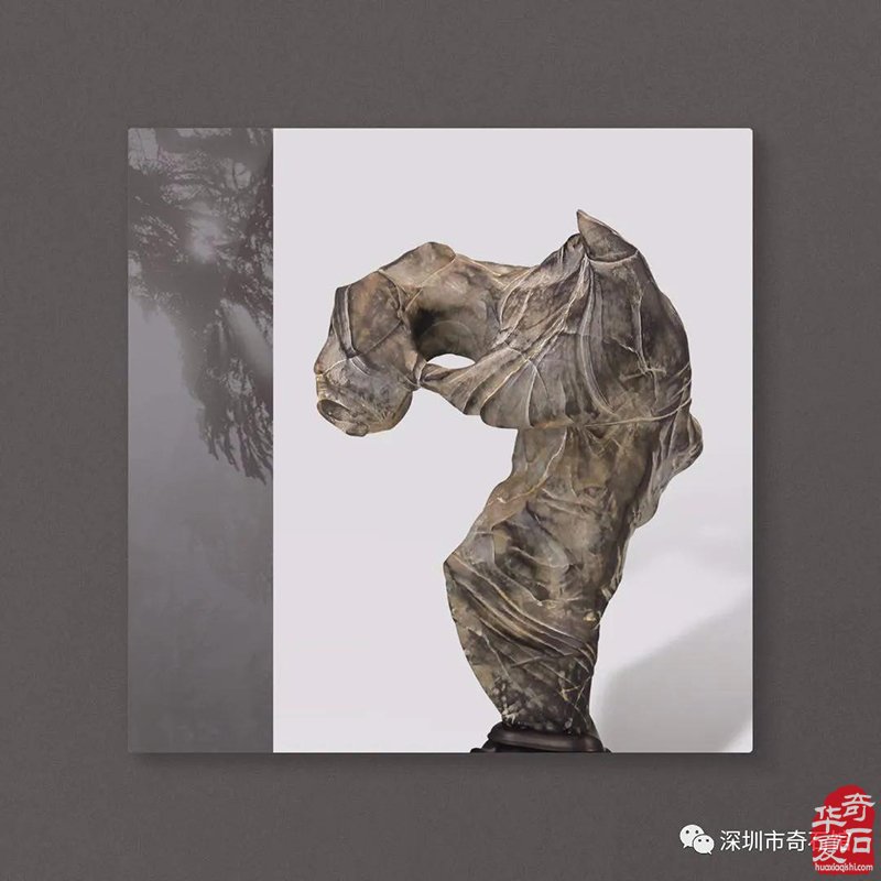 期待赏石成为艺术的引领而非市场的迎合 图