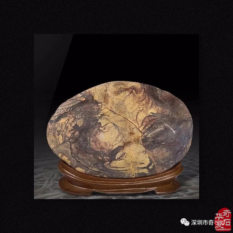 期待赏石成为艺术的引领而非市场的迎合 图