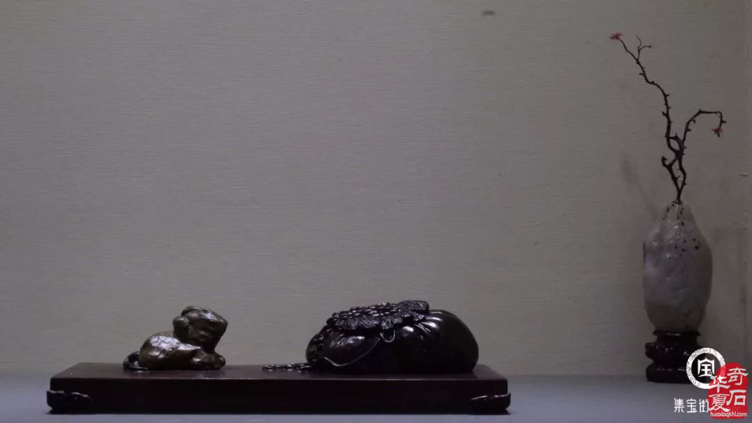 “不合群”的我其实是在玩石头 图