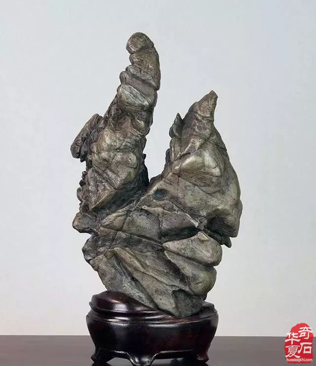 外国人似乎对石头并不感冒 他却不同