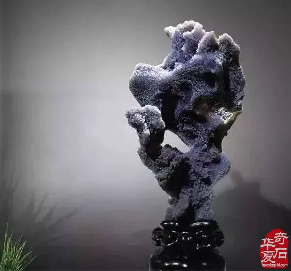 随着奇石市场的变化什么样的奇石更受欢迎