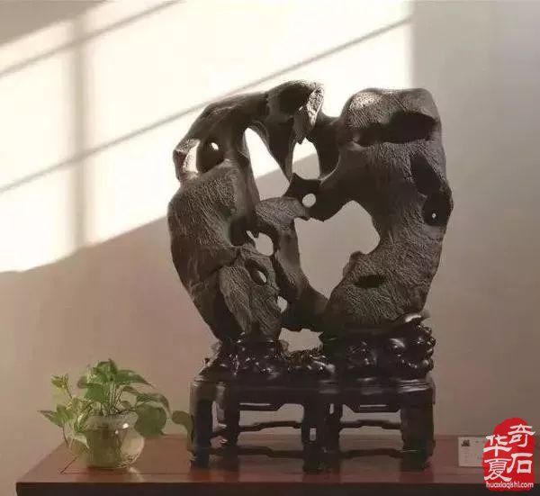 随着奇石市场的变化什么样的奇石更受欢迎