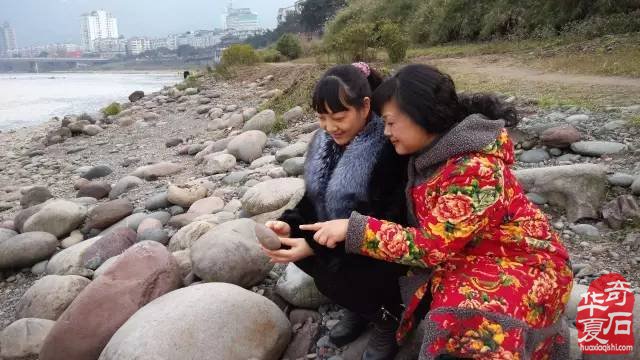 知道为什么玩石赏石使人长寿 图