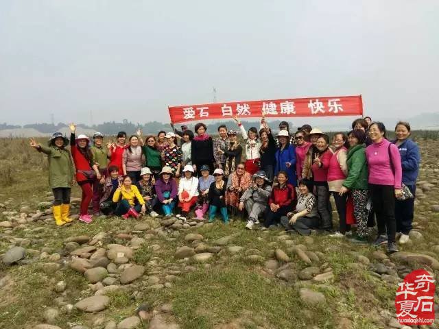 知道为什么玩石赏石使人长寿 图