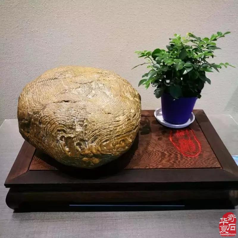 奇石市场升温，投资天然奇石艺术品正当时
