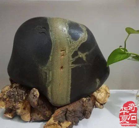 真庆幸自己爱上了奇石，玩石头让我们成为“富有”的人！ 