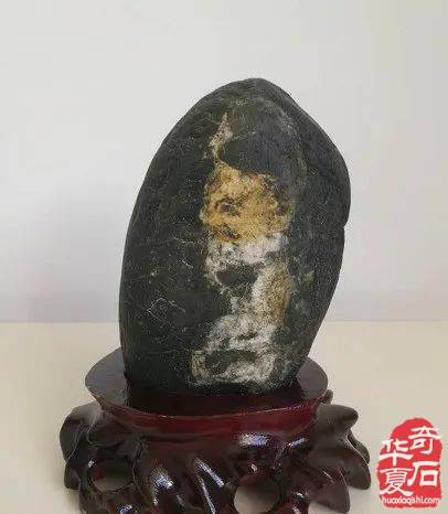 真庆幸自己爱上了奇石，玩石头让我们成为“富有”的人！ 