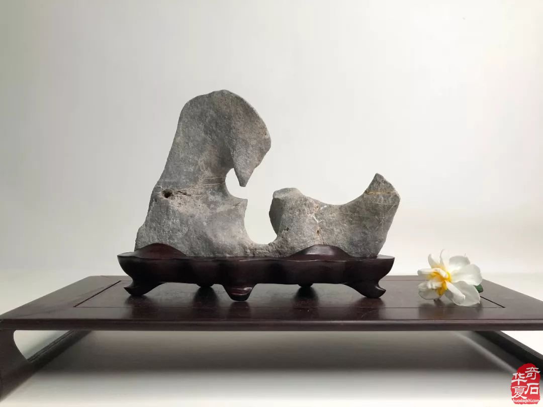 如何审视传统赏石与现代赏石的差别