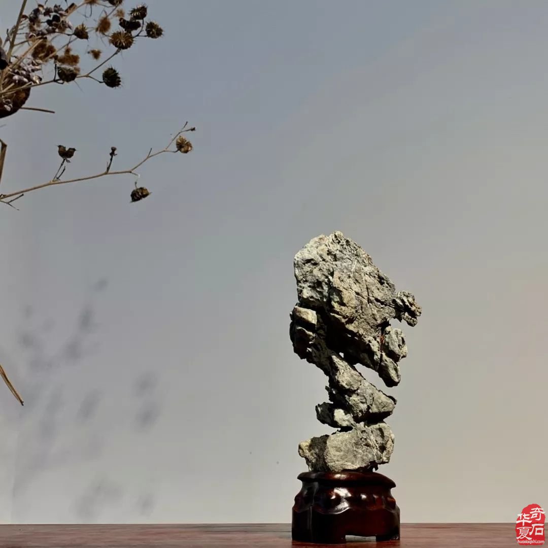 如何审视传统赏石与现代赏石的差别