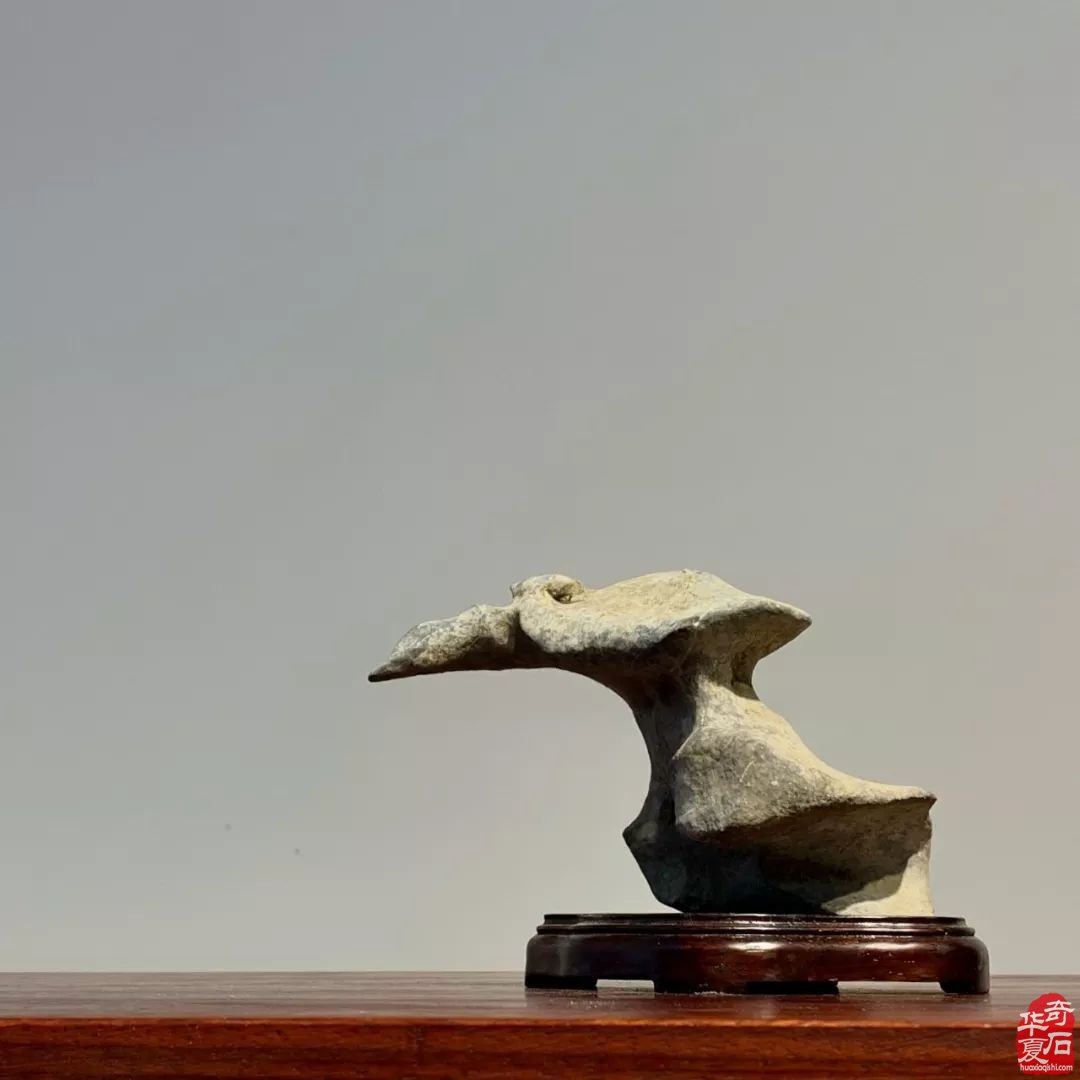 如何审视传统赏石与现代赏石的差别