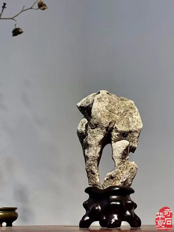 如何审视传统赏石与现代赏石的差别