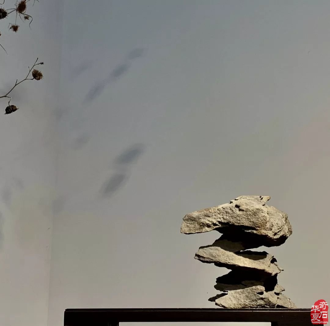 如何审视传统赏石与现代赏石的差别