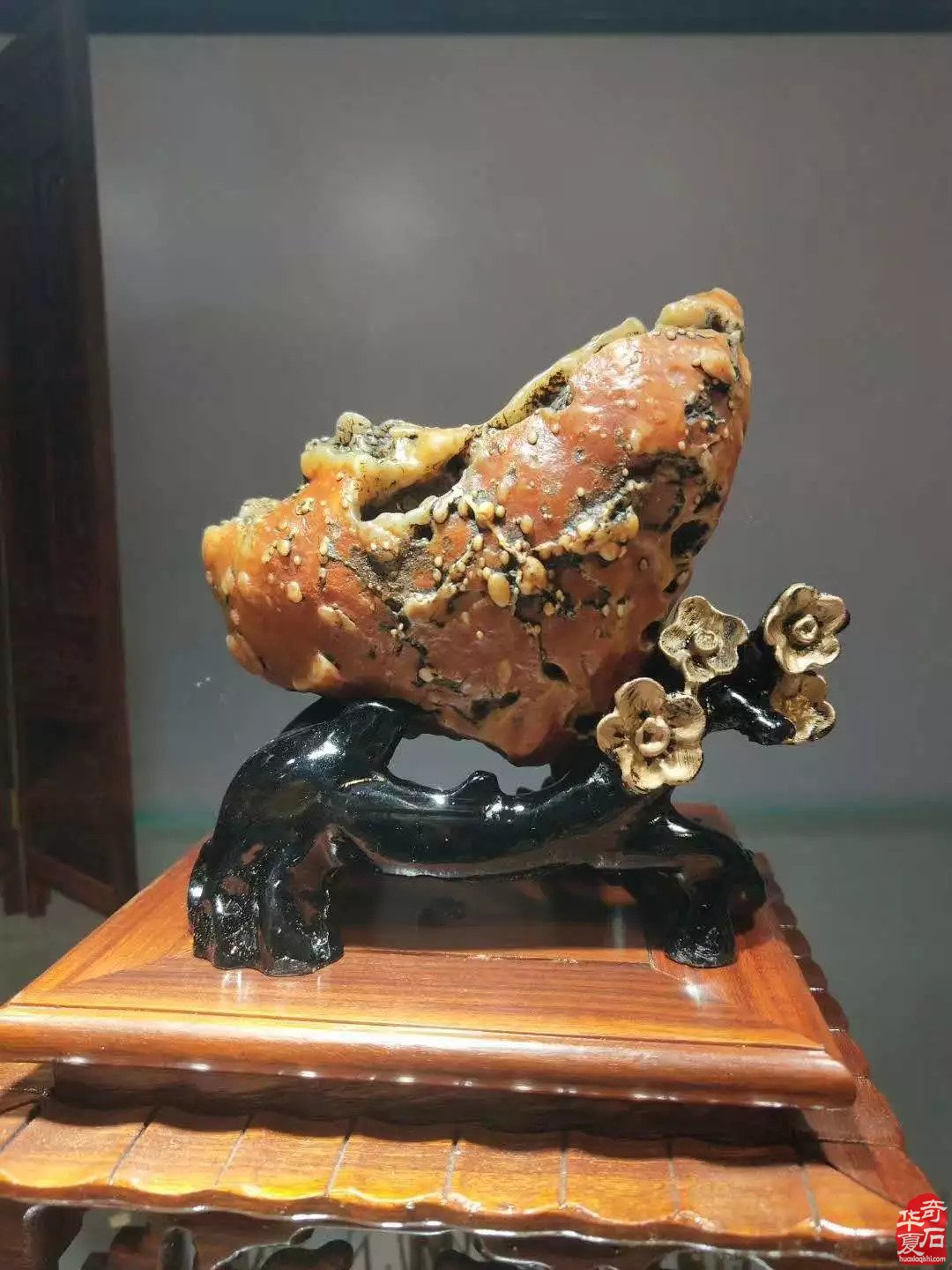 没想到你是这样爱石的人