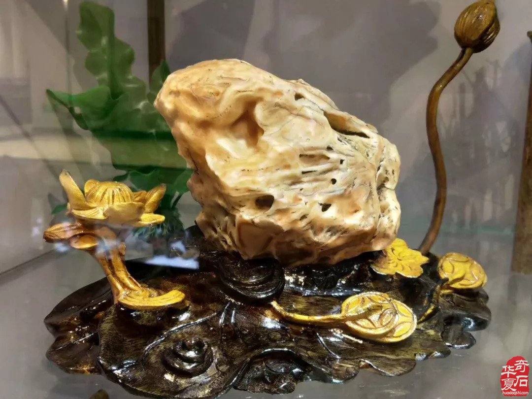 没想到你是这样爱石的人