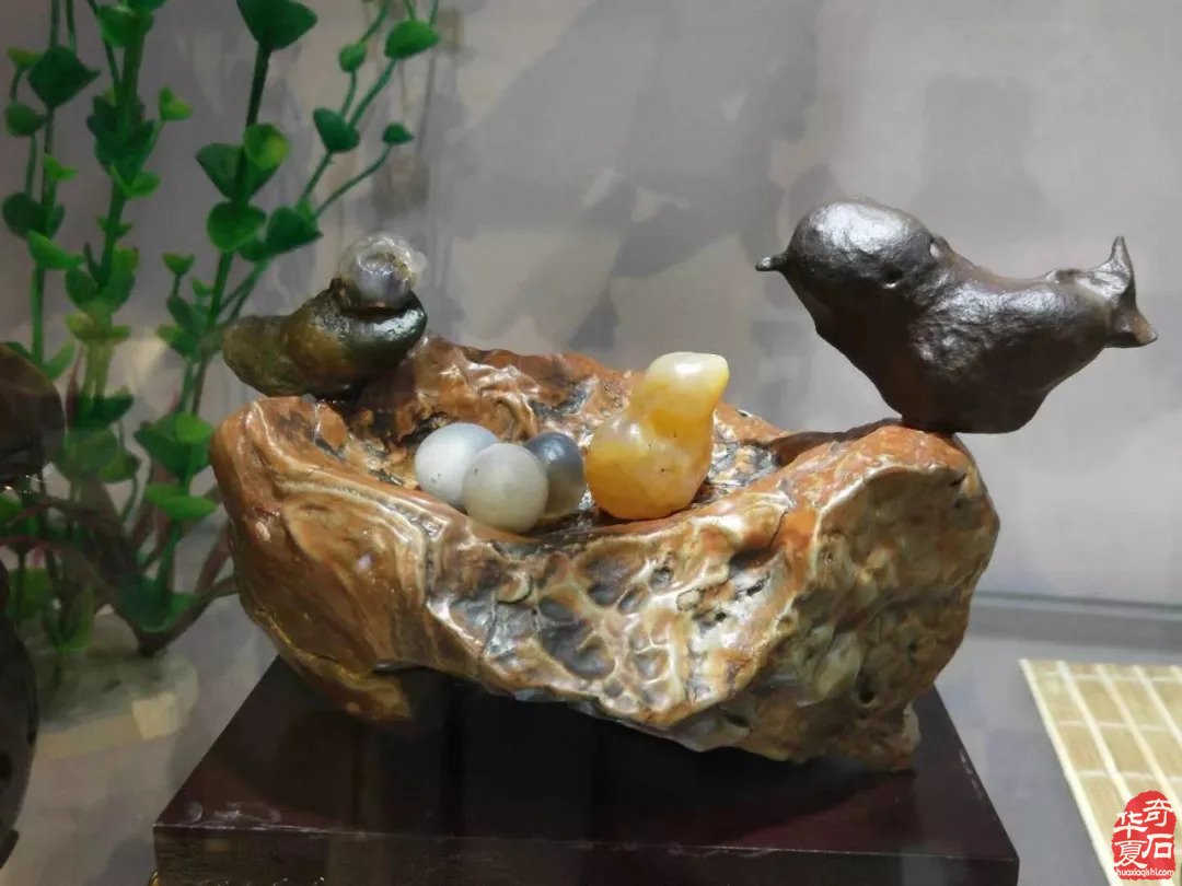 没想到你是这样爱石的人