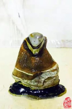 WapPic